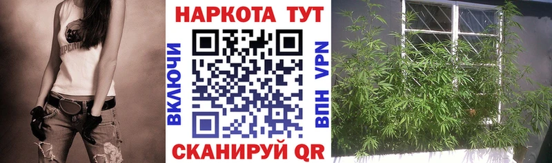 Цена Медвежьегорск Амфетамин  МАРИХУАНА  Cocaine  Меф  ГАШИШ 