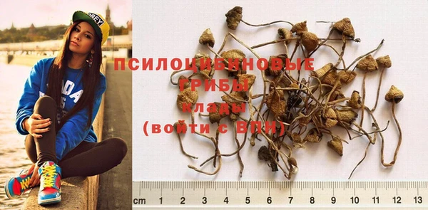 молекула духа Липки