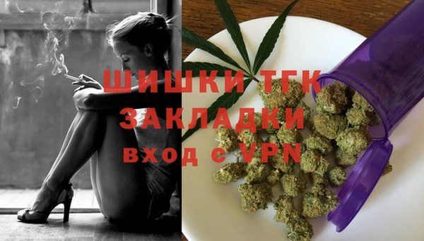 мдпв Магас