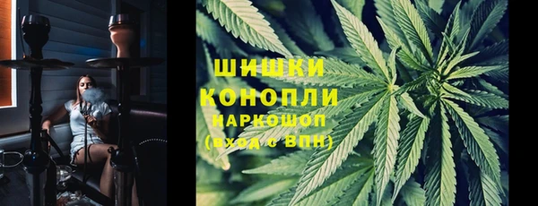 молекула духа Липки